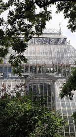 A large glass greenhouse with an intricate metal framework, surrounded by leafy trees and plants. The sunlight is reflecting off the transparent panels, and the greenery contrasts with the industrial structure. The building appears to be well-maintained and prominently located in a lush garden setting.