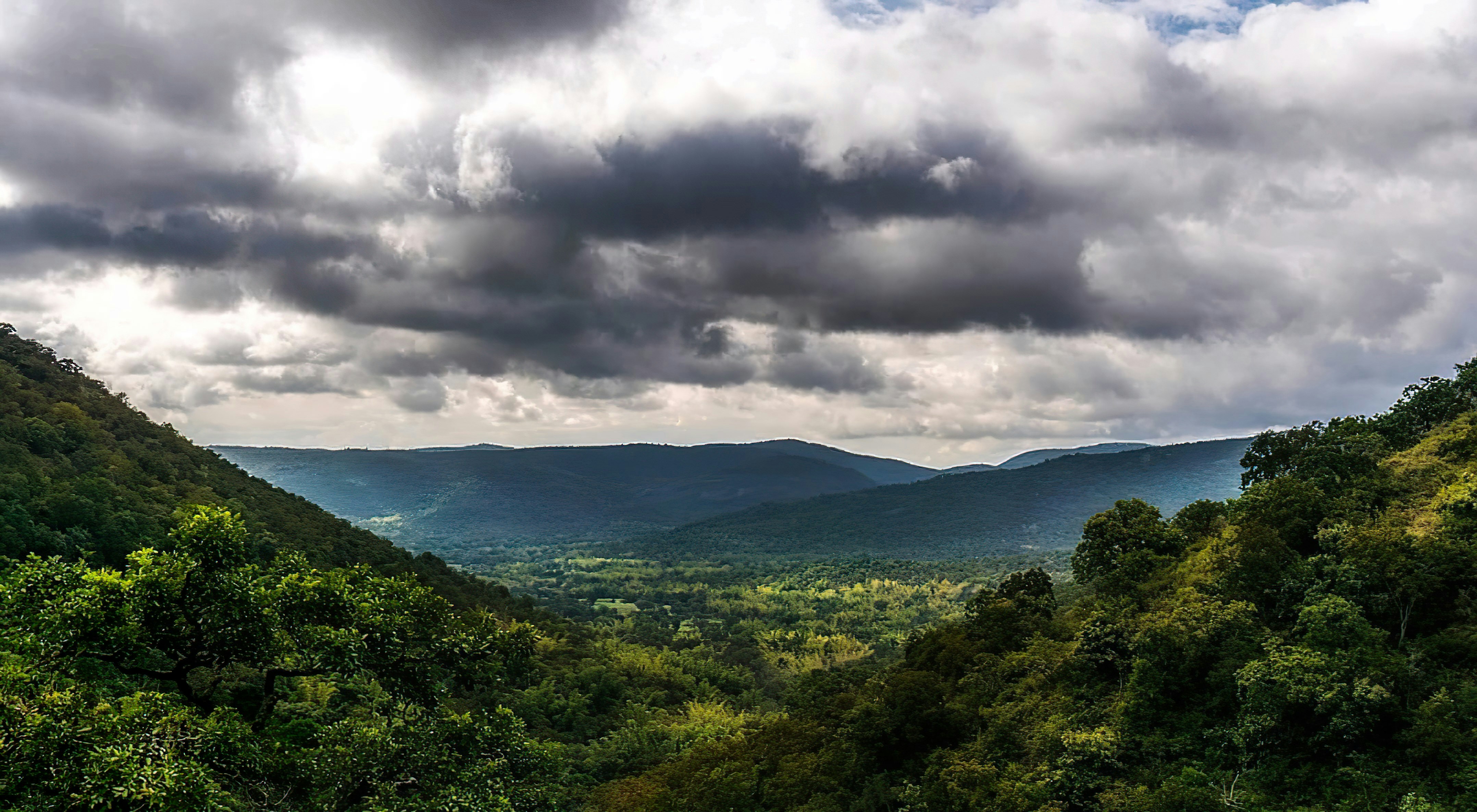 Photo by ragz_on_unsplash