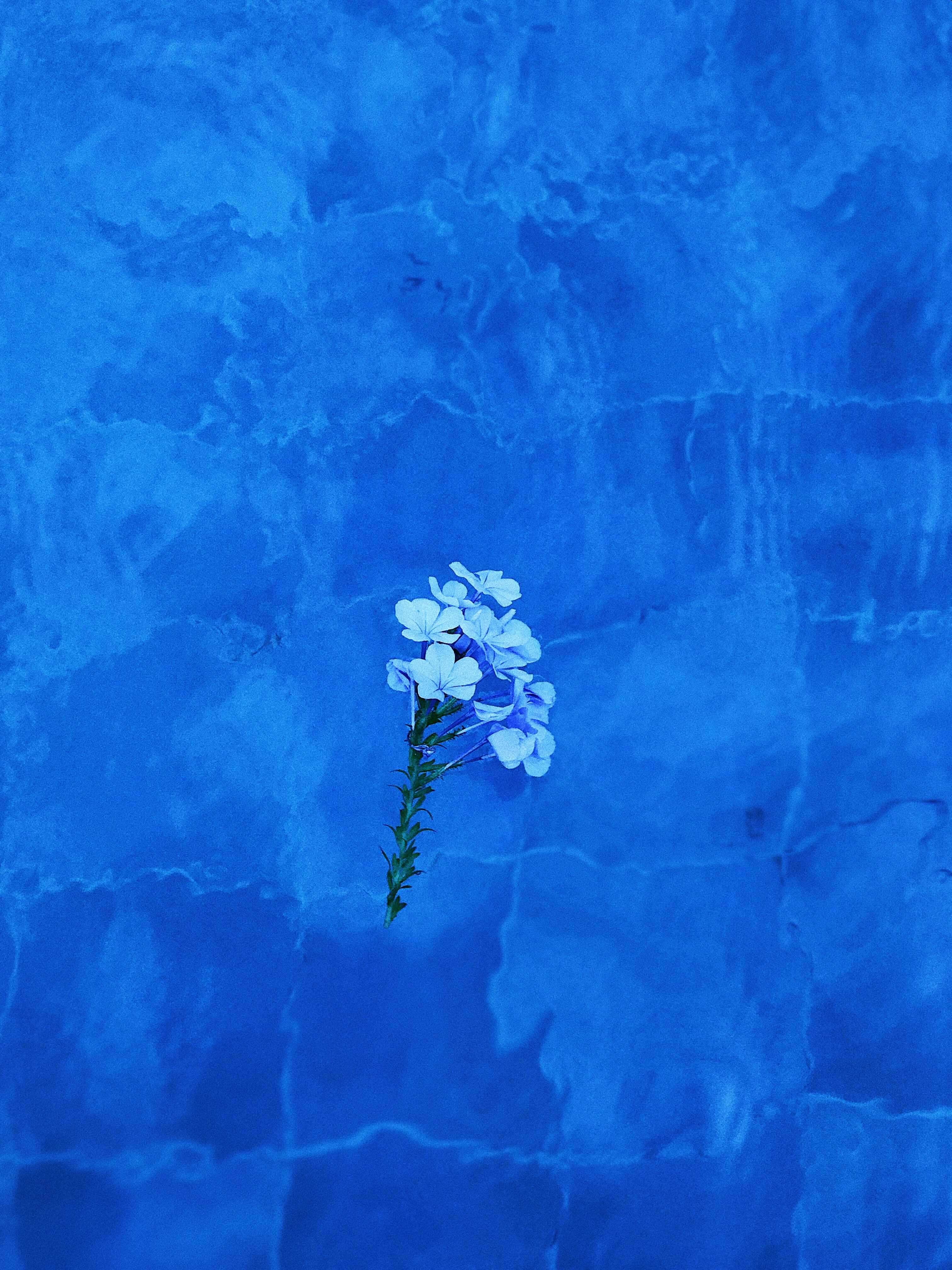 Dakar – Weather & Seasonal Patterns