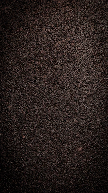 Close-up of asphalt core samples lined up for laboratory analysis.