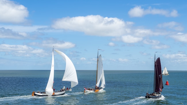 several sailboats on the water