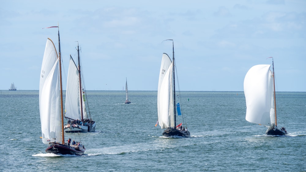 several sailboats on the water