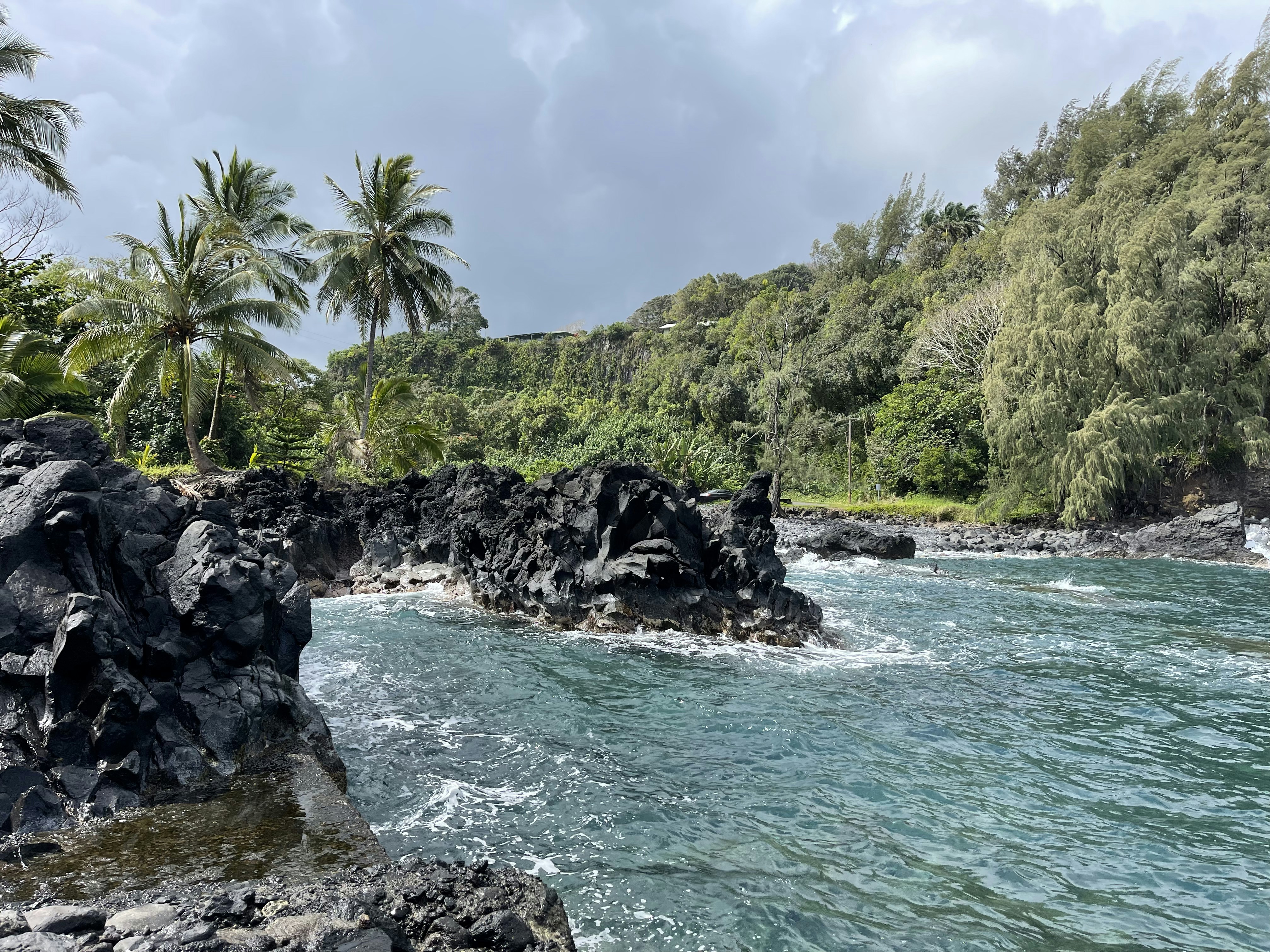a rocky beach with trees and a body of water