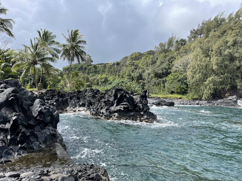 a rocky beach with trees and a body of water