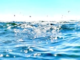 A vibrant seascape featuring shimmering sunlight reflecting off ocean waves under a clear blue sky. Distant kite surfers can be seen in the background, their kites dotting the horizon.