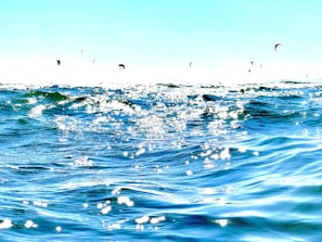 A vibrant seascape featuring shimmering sunlight reflecting off ocean waves under a clear blue sky. Distant kite surfers can be seen in the background, their kites dotting the horizon.