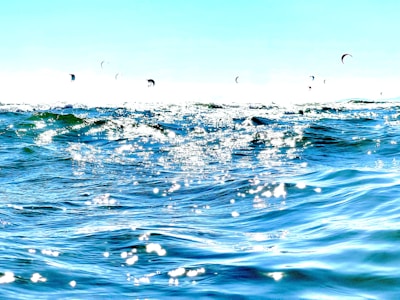 A vibrant seascape featuring shimmering sunlight reflecting off ocean waves under a clear blue sky. Distant kite surfers can be seen in the background, their kites dotting the horizon.