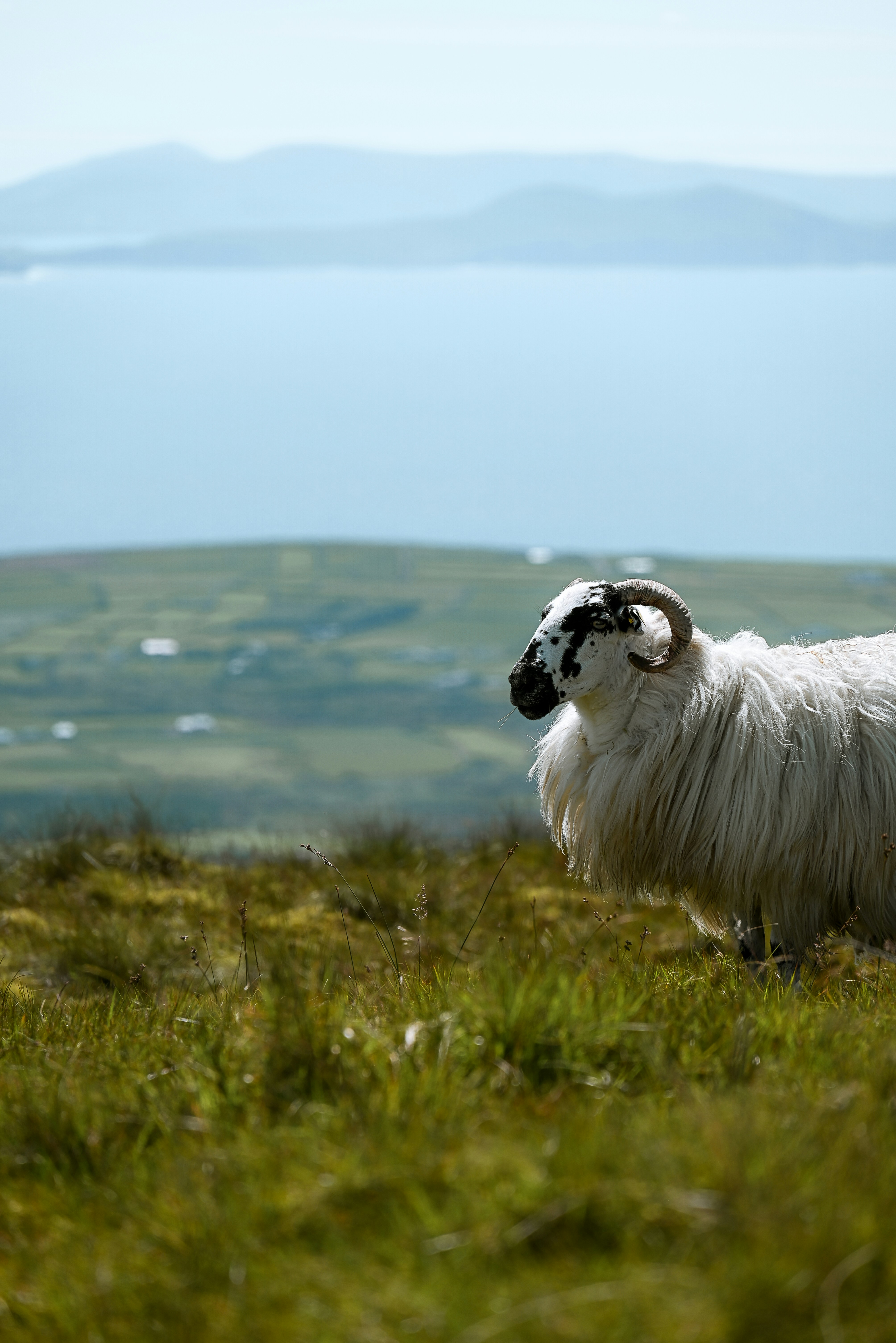 Photo by jetztabertempo