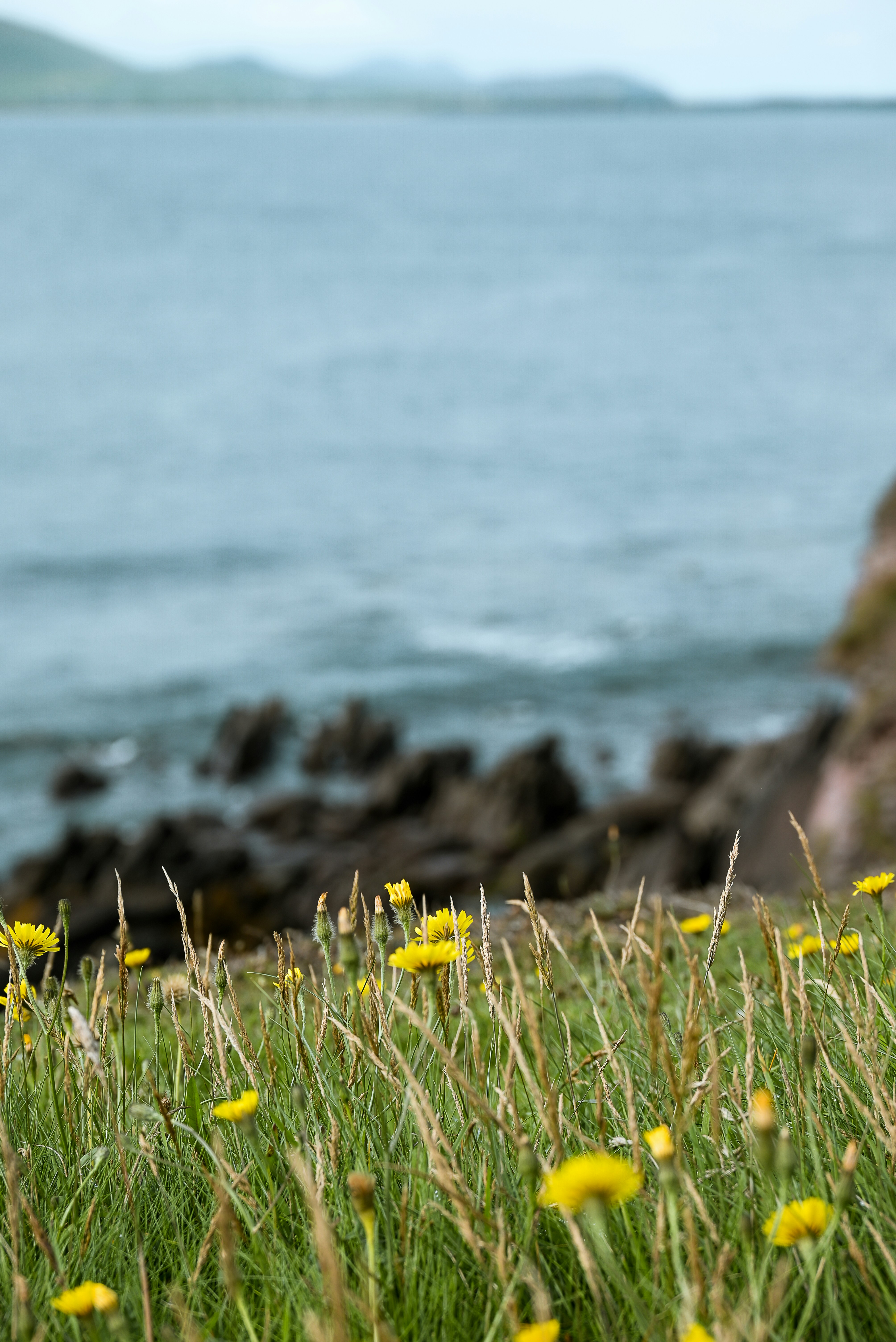 Photo by jetztabertempo