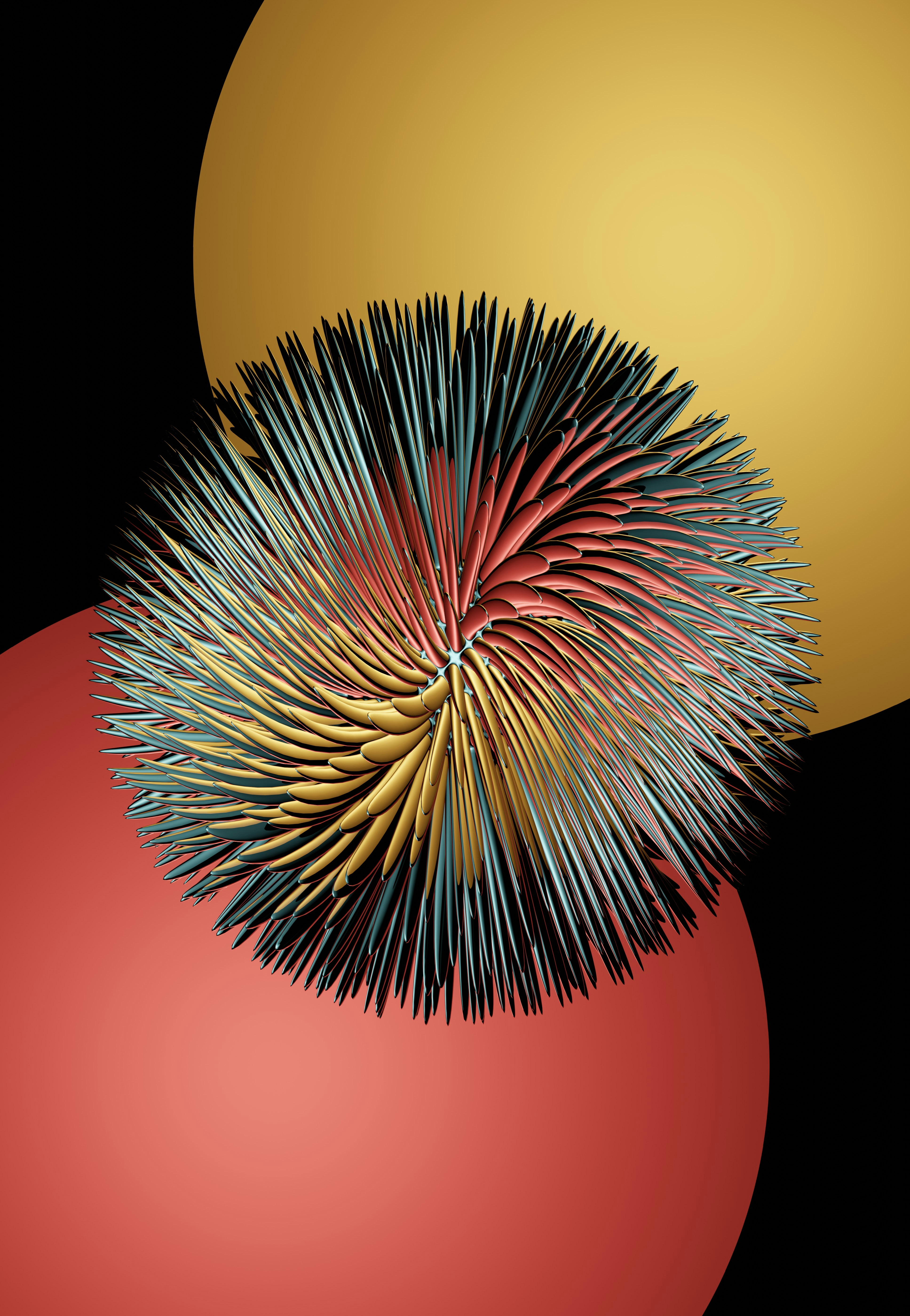 Photo by blenderdesigner