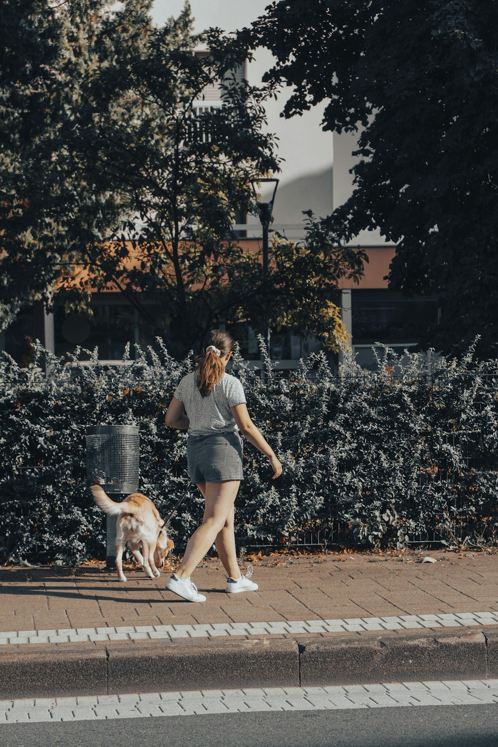 a person walking a dog