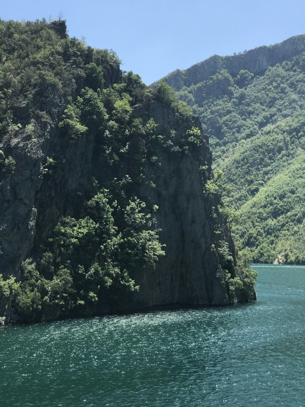 a cliff with trees on it