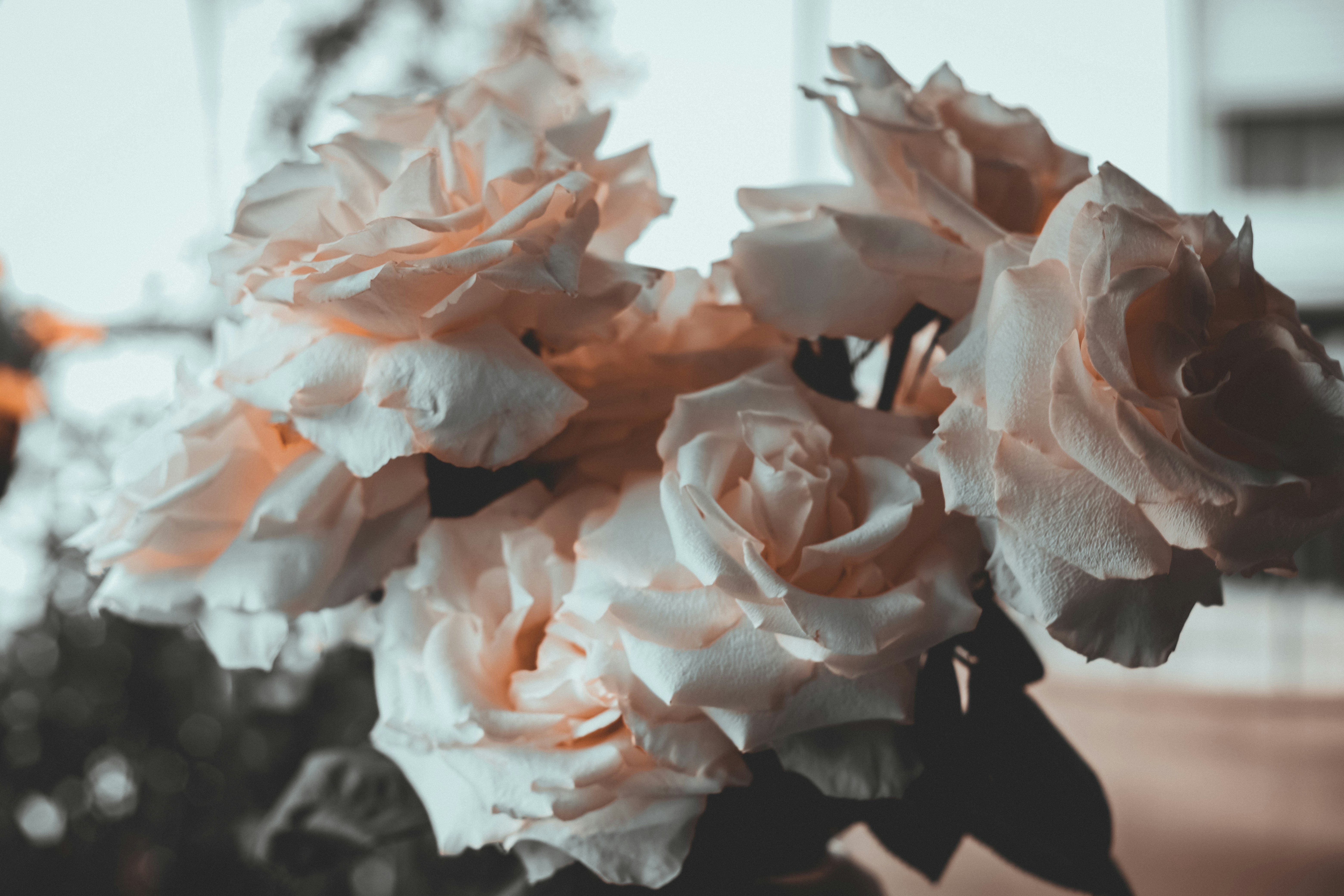 Photo by mo_tographie