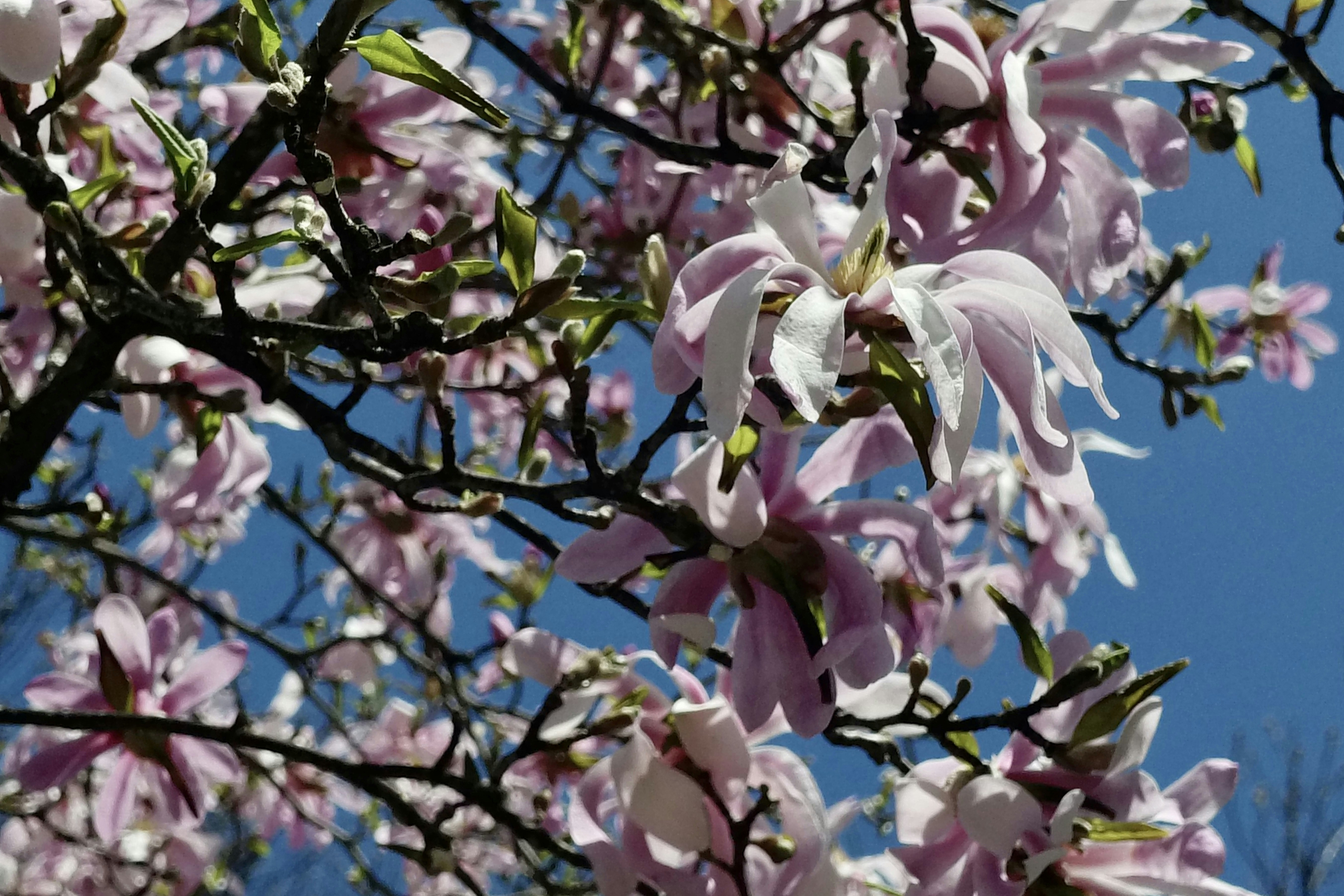 Photo by travelerwanders