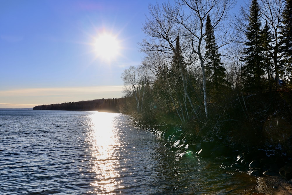 a body of water with trees on the side