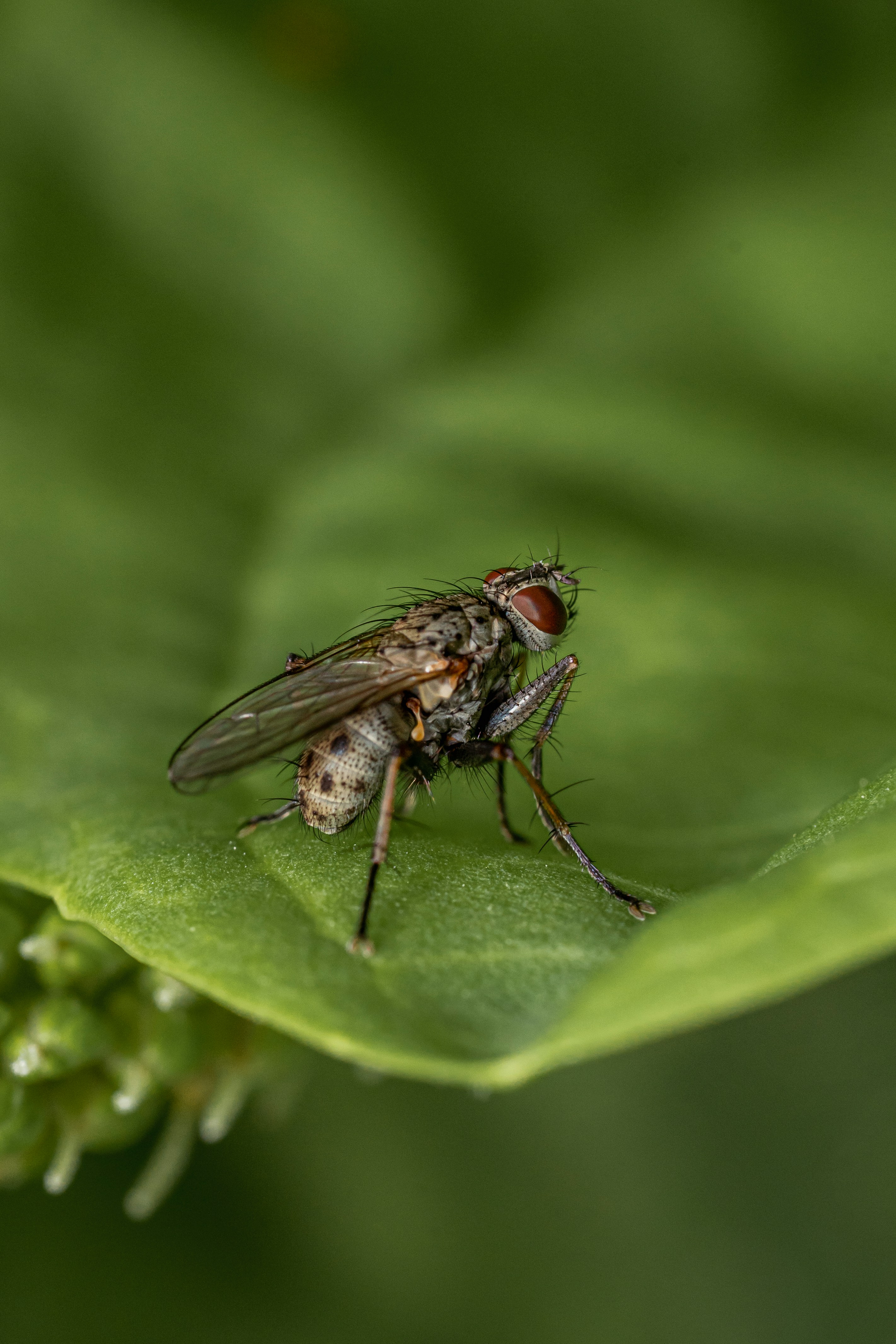 Photo by neringanorman