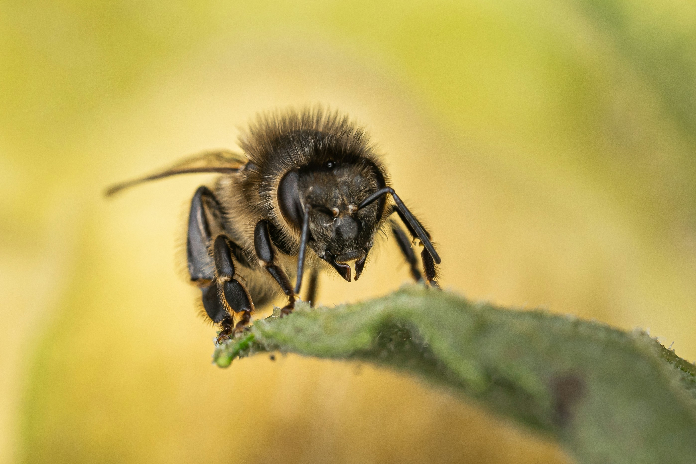 Photo by neringanorman