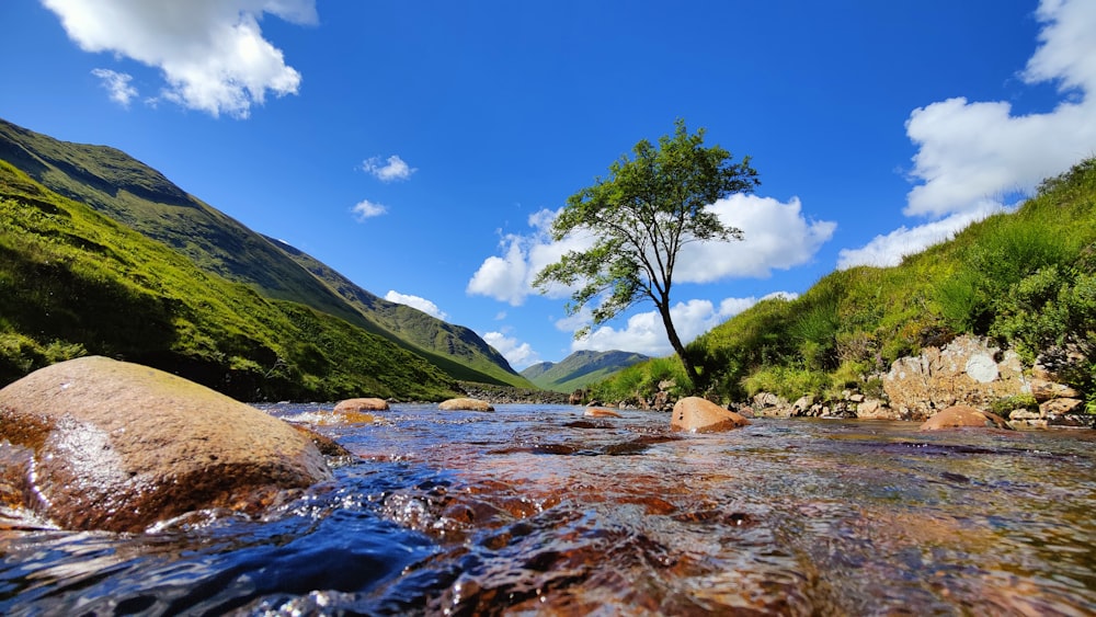 a river with rocks and trees