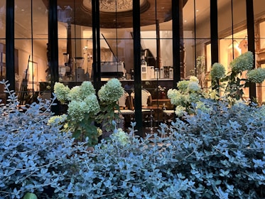 A cozy corner of the coffee shop with artistic decorations and large windows overlooking the street.