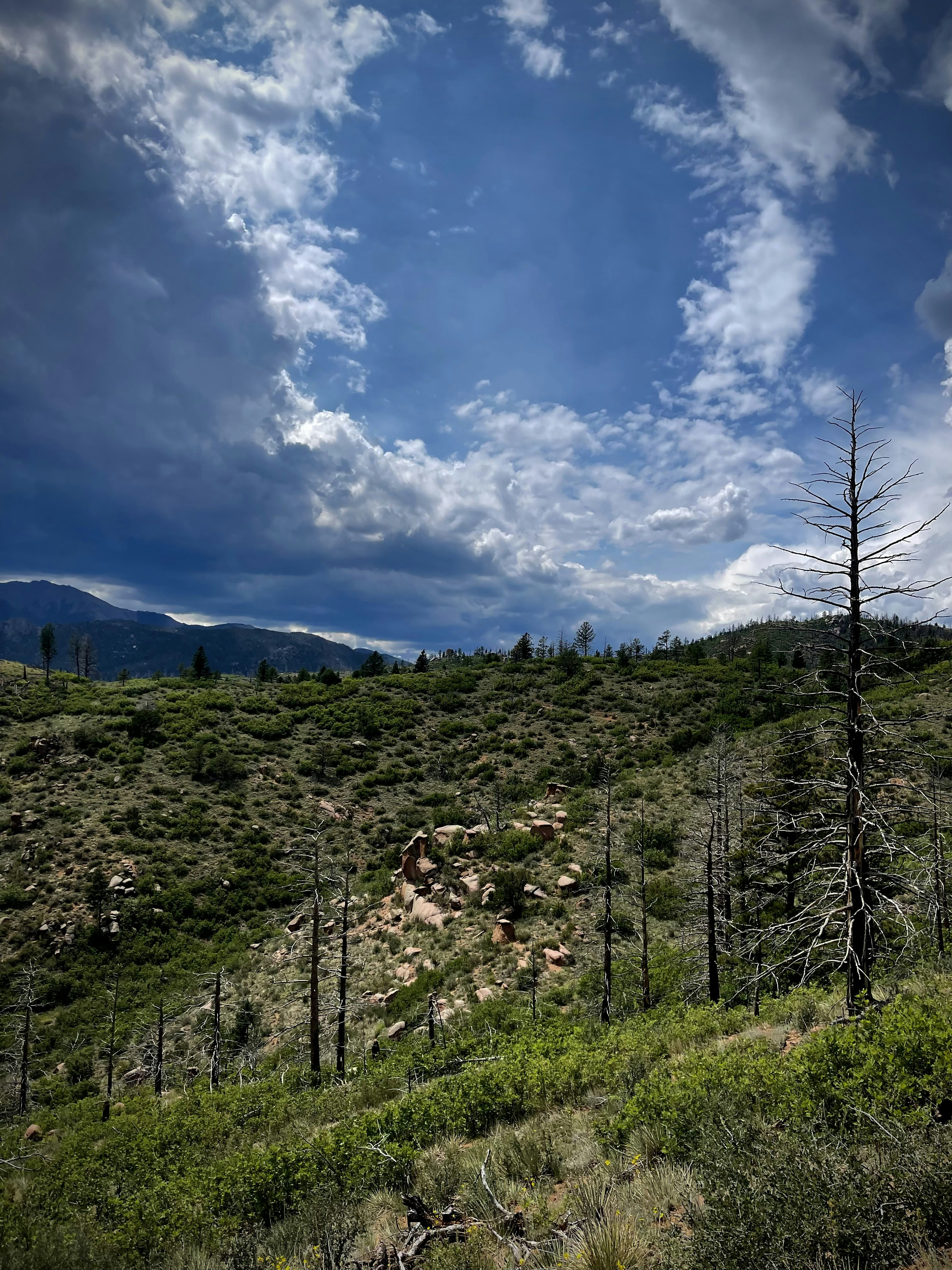 Photo by laitonbarbo