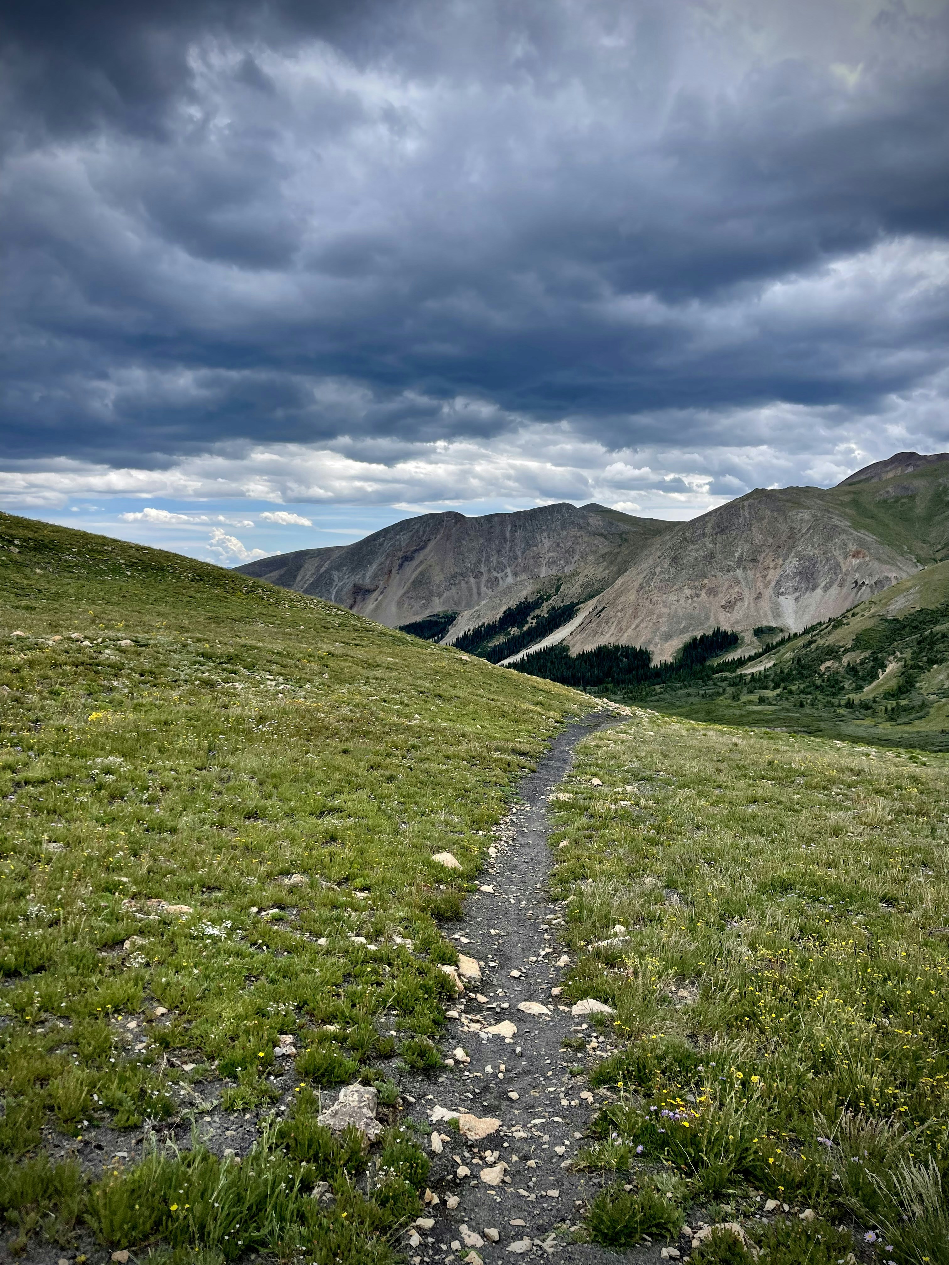 Photo by laitonbarbo