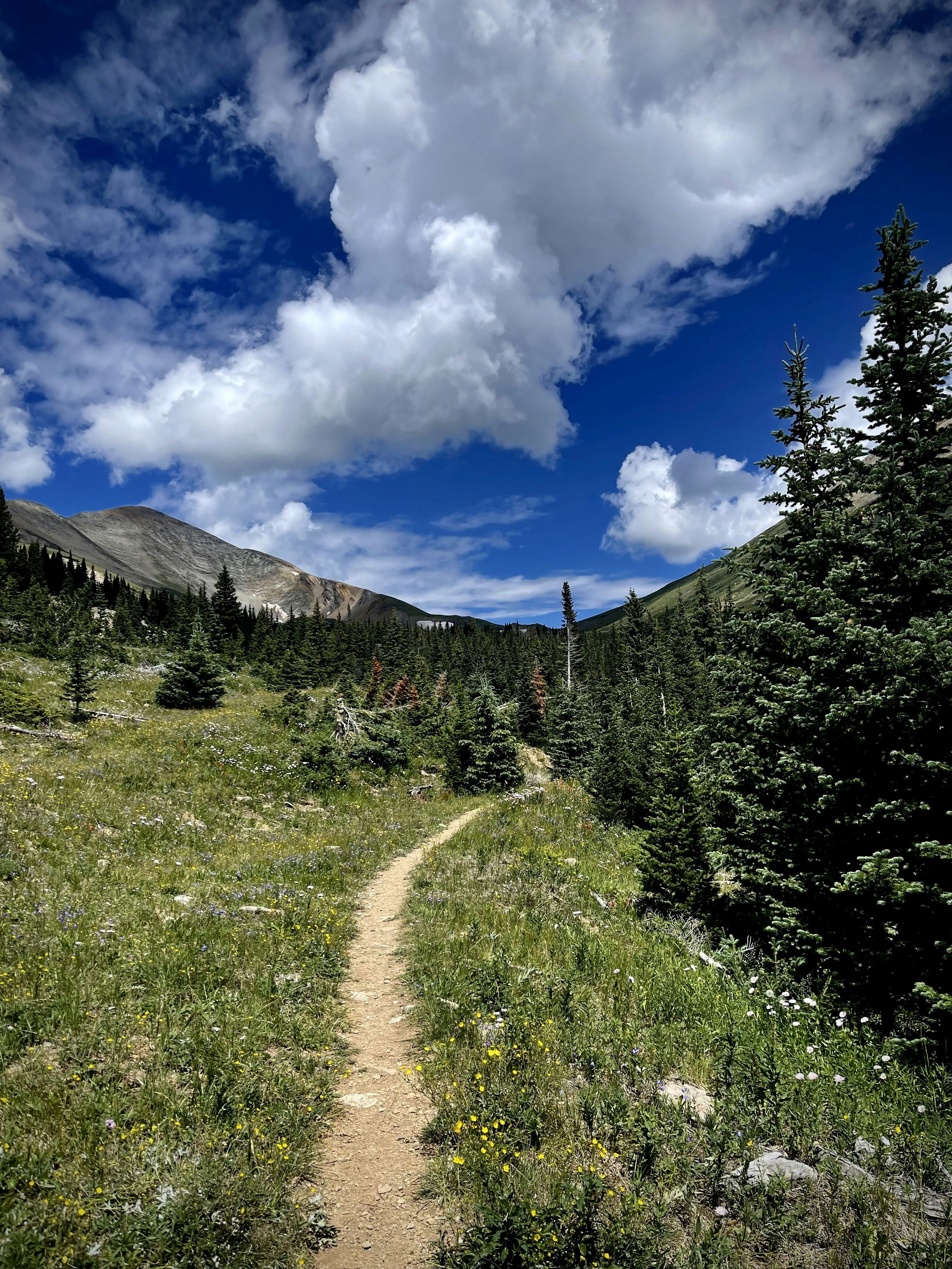 Photo by laitonbarbo