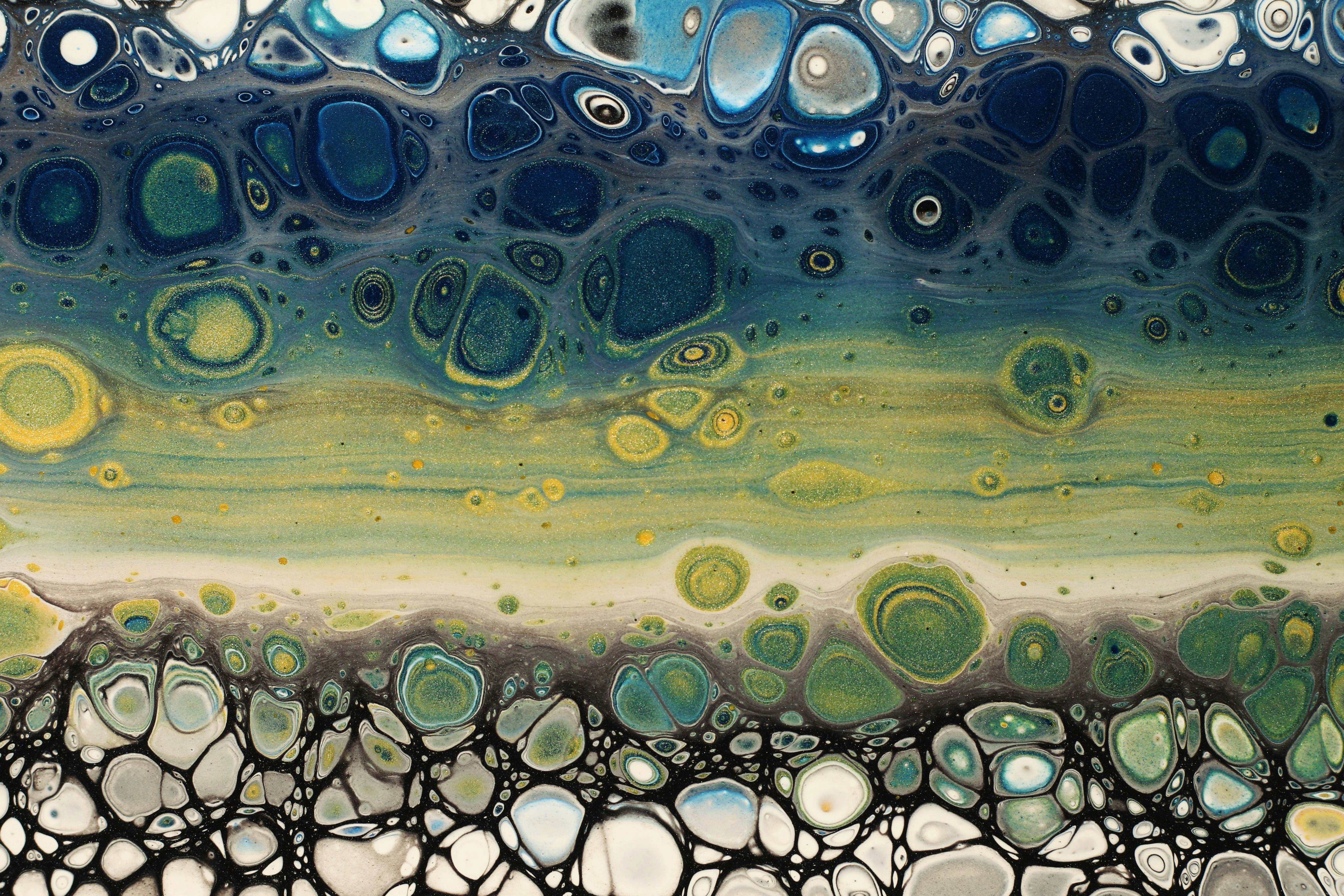 Photo by susan_wilkinson