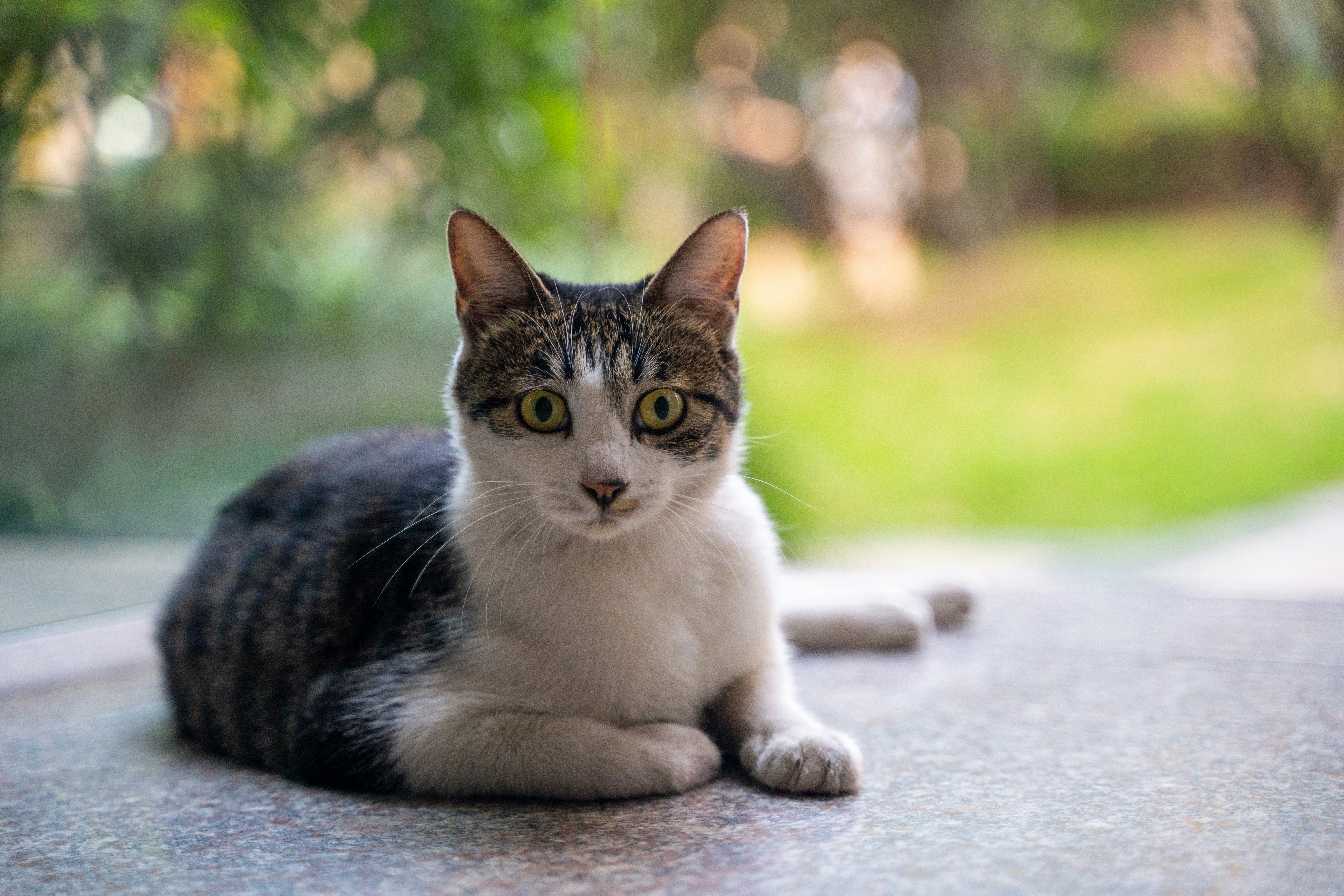 Photo by yooho962464