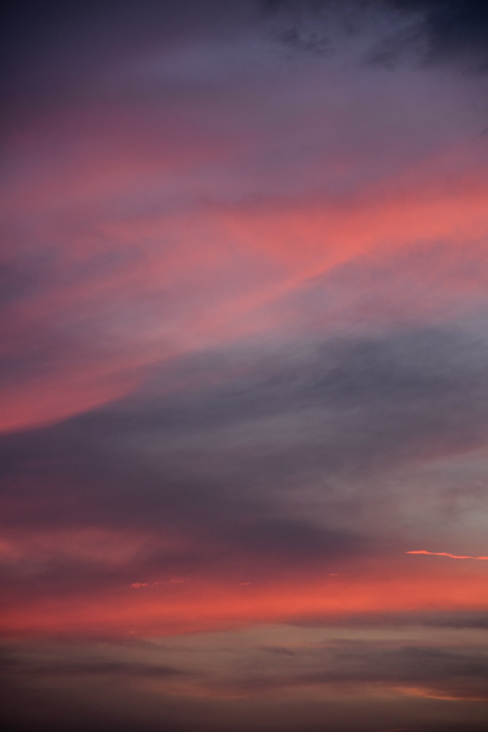 a pink and purple sky