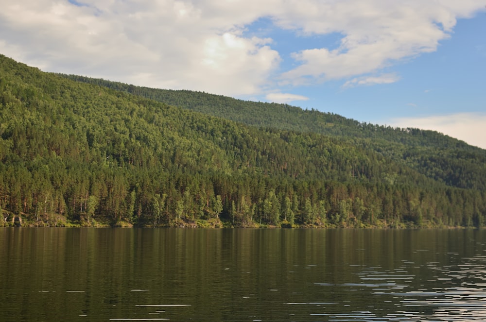 a body of water with trees on the side