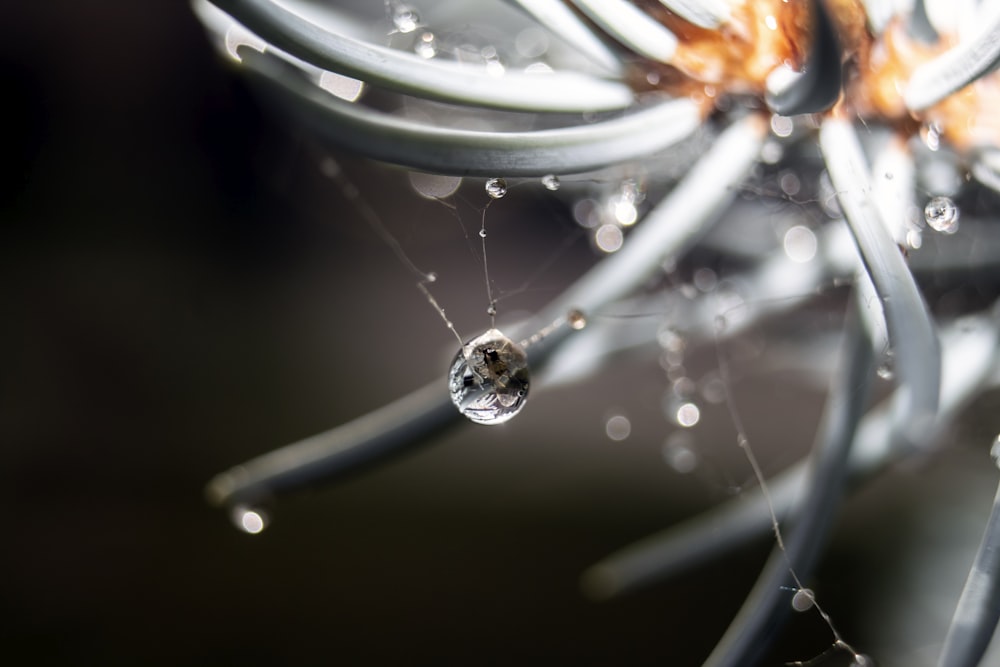 a close-up of a water droplet on a glass
