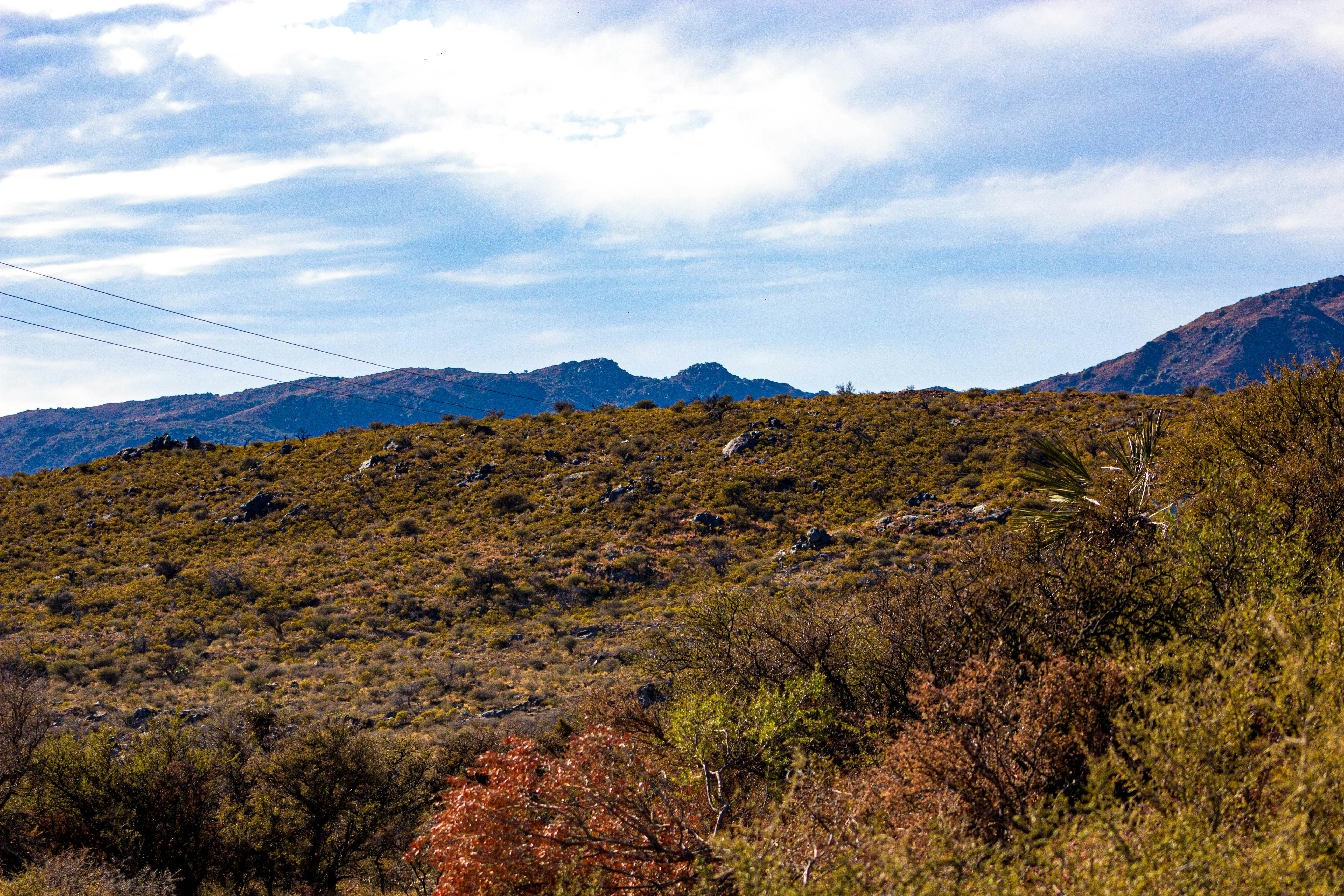 Photo by fedejfernandez