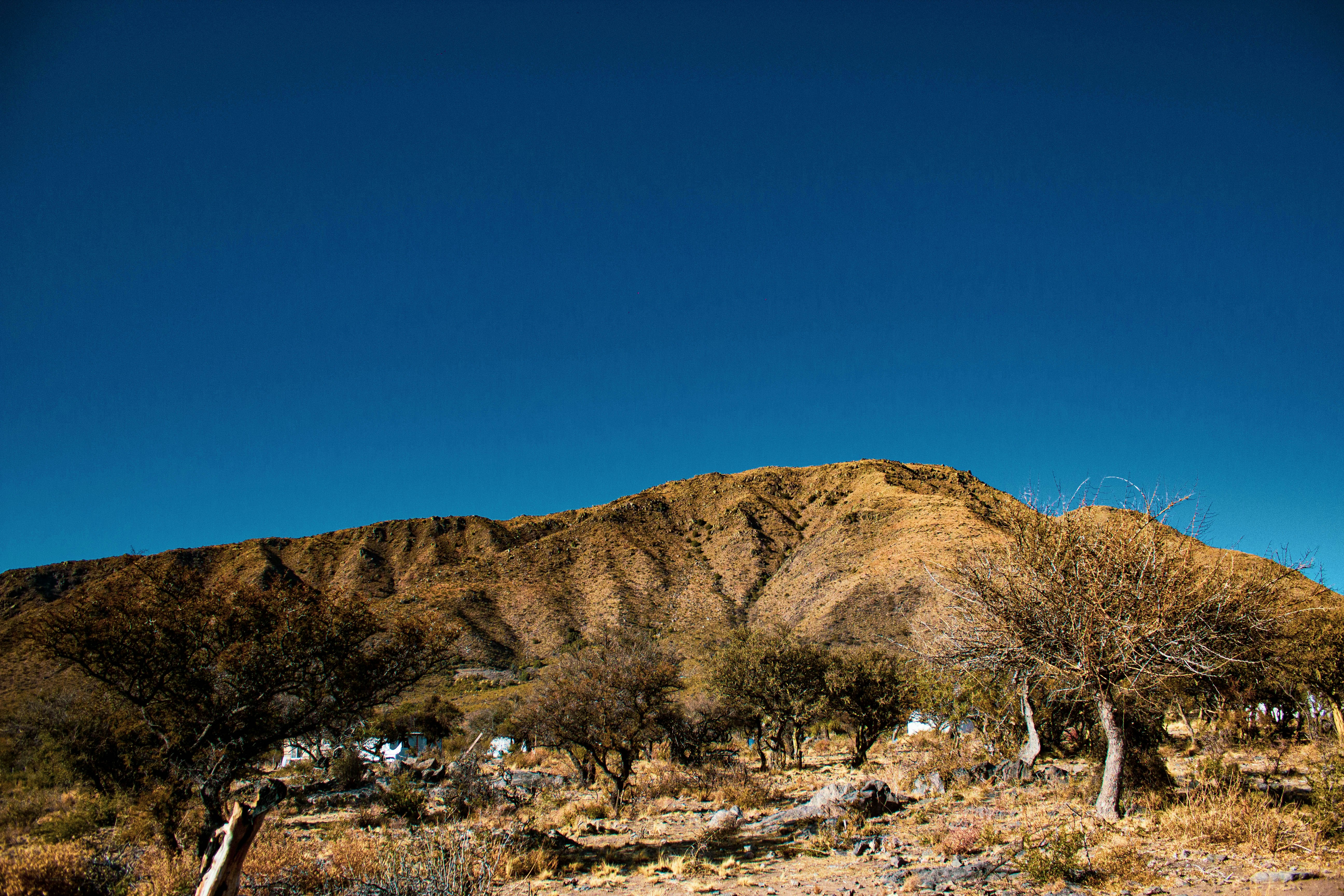 Photo by fedejfernandez