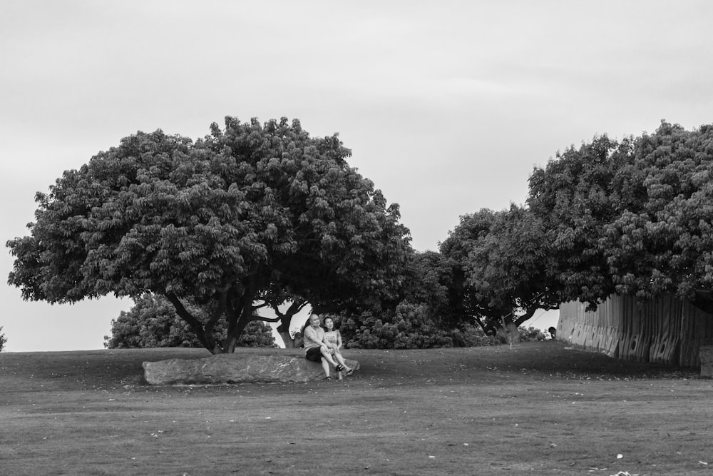 a person sitting on a rock by a tree