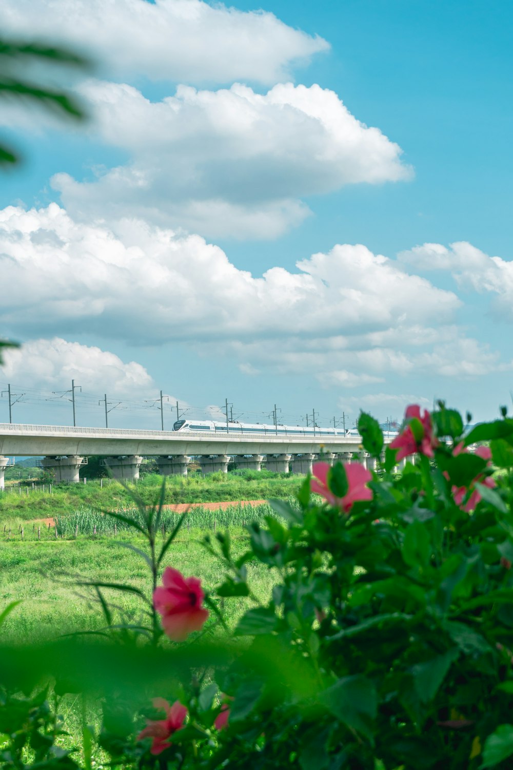 a bridge over a river