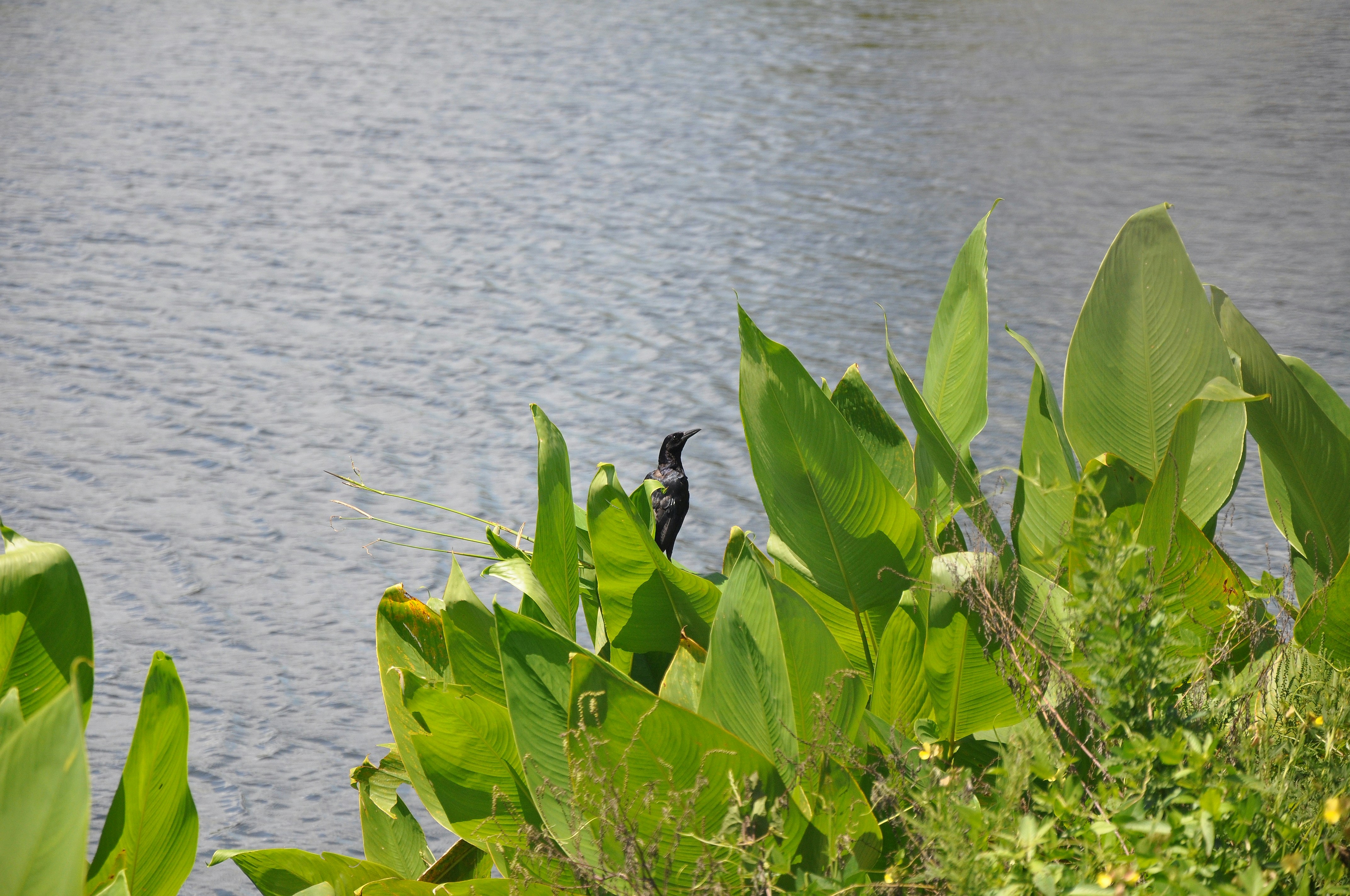 Choose from a curated selection of Florida photos. Always free on Unsplash.