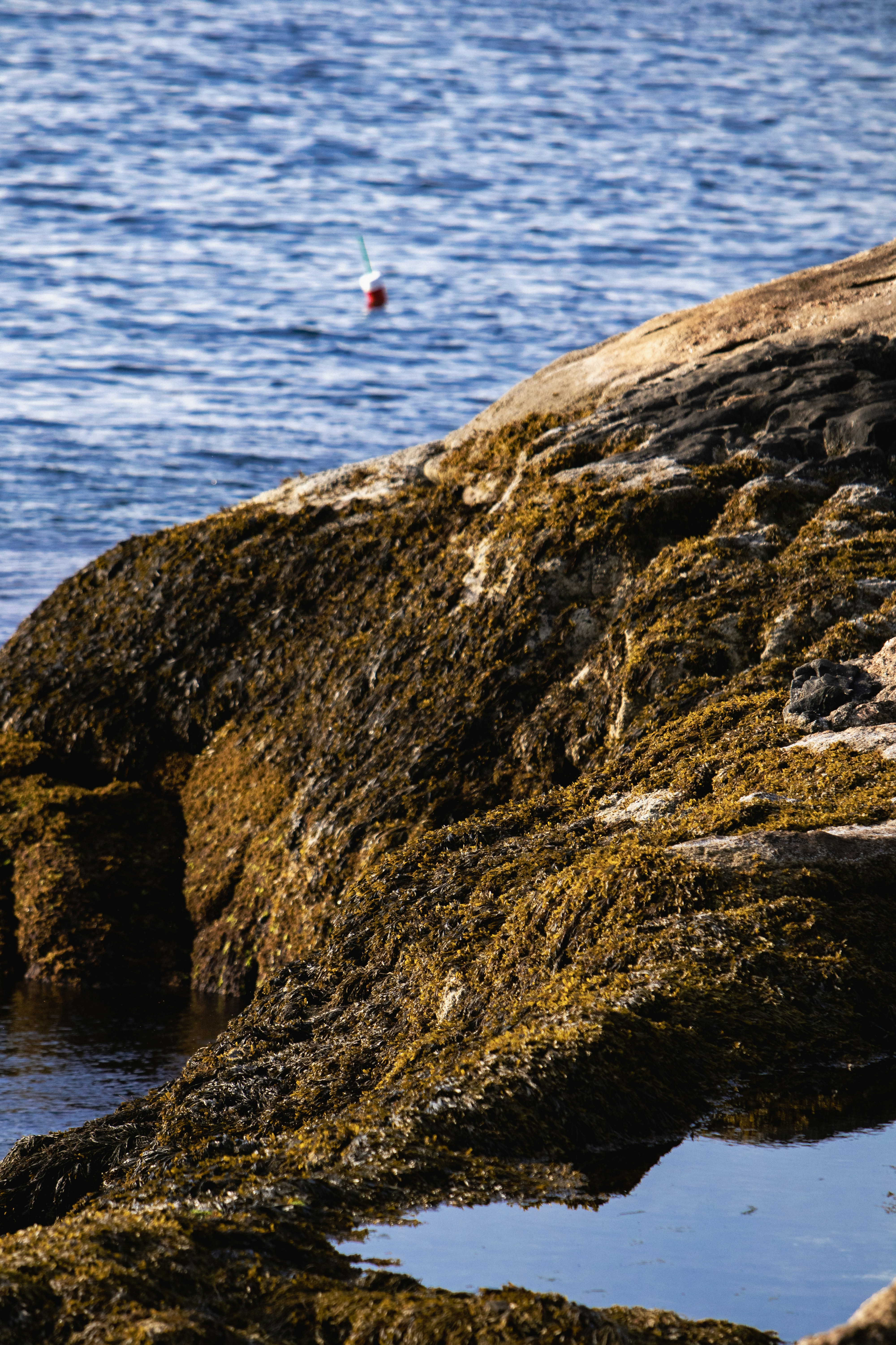 sea