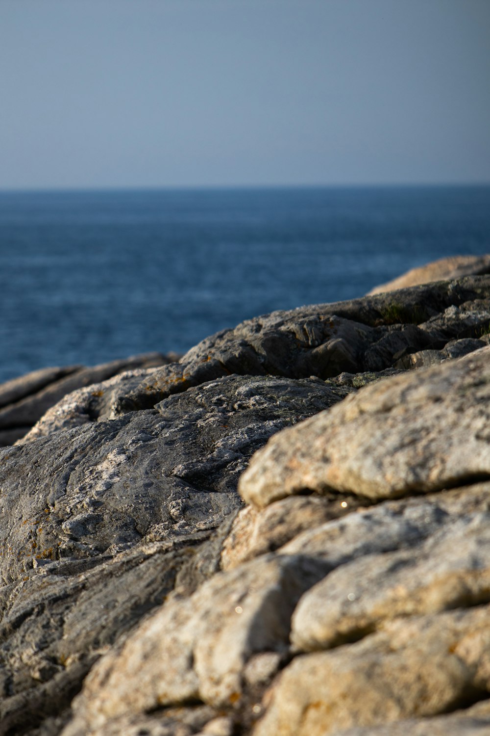 a rocky shoreline with water in the background