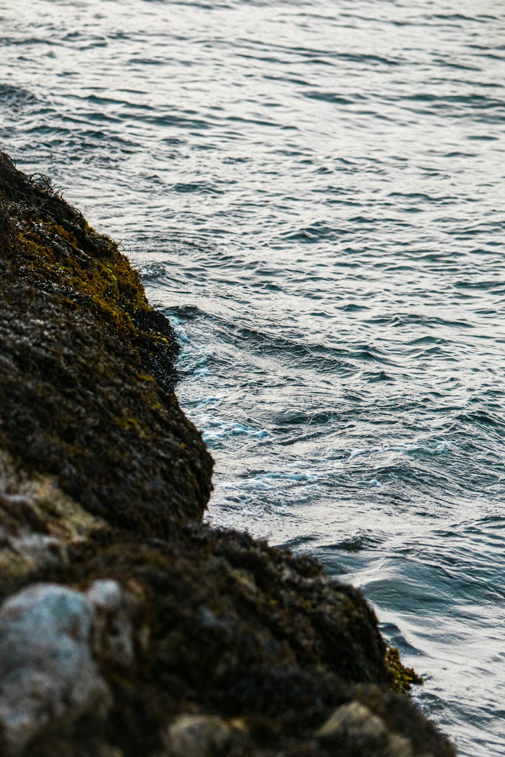 a body of water with rocks and a rock in the foreground