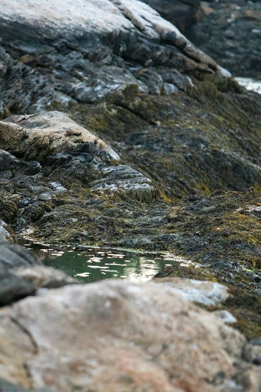 a small stream of water