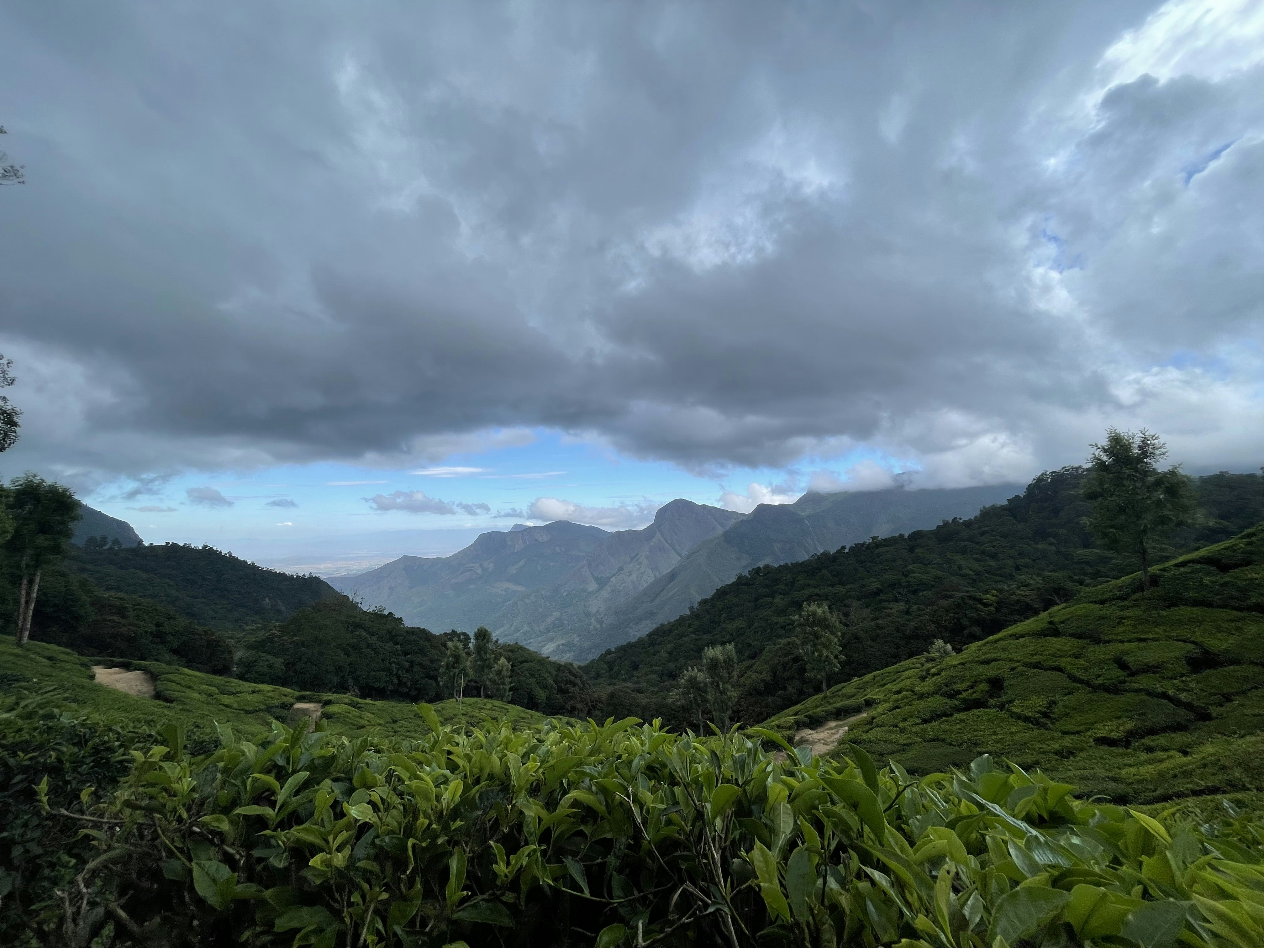 Photo by trinadhkoya