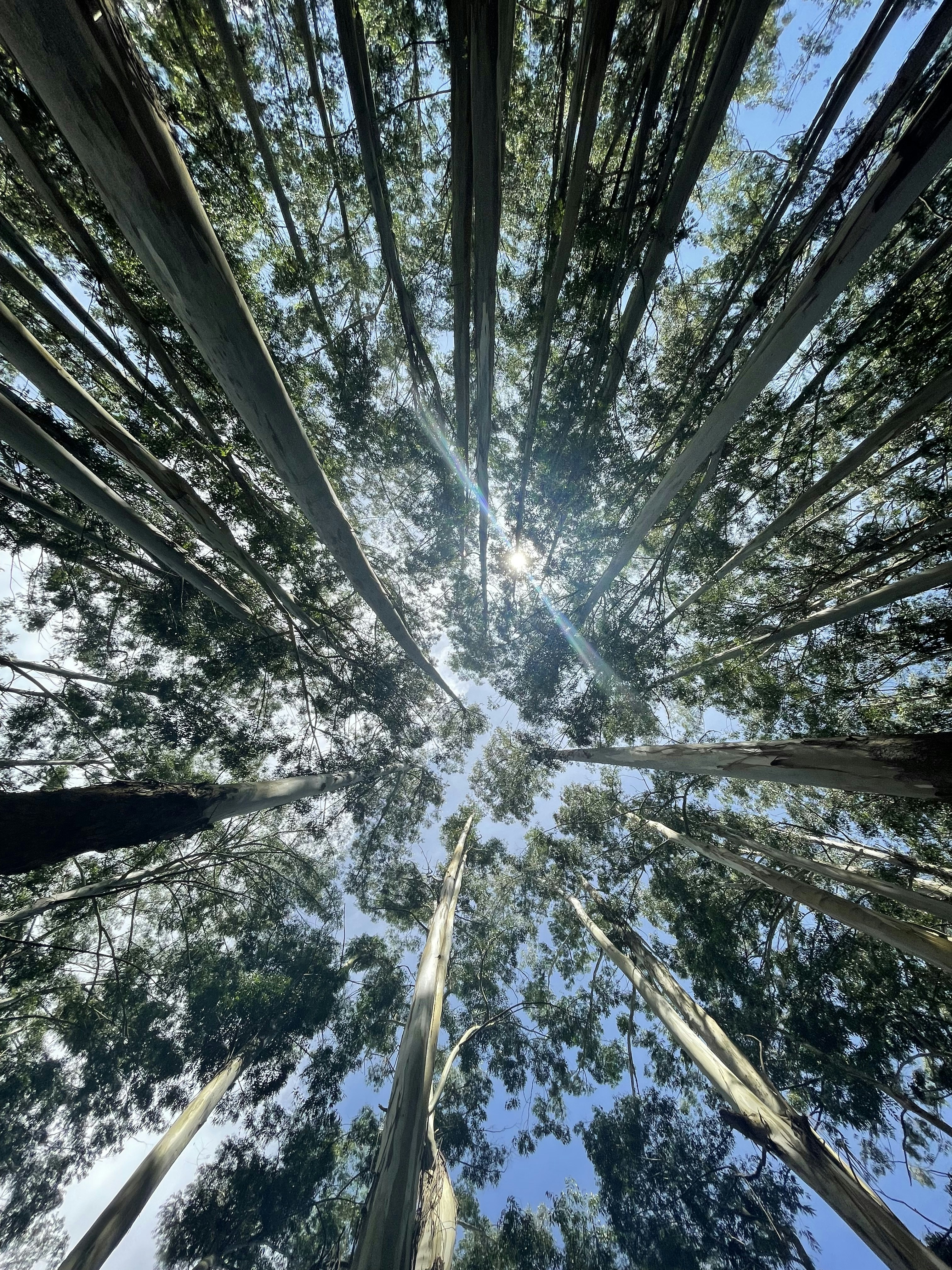 Photo by trinadhkoya