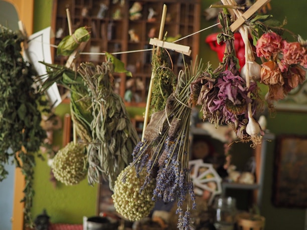 Herbs drying