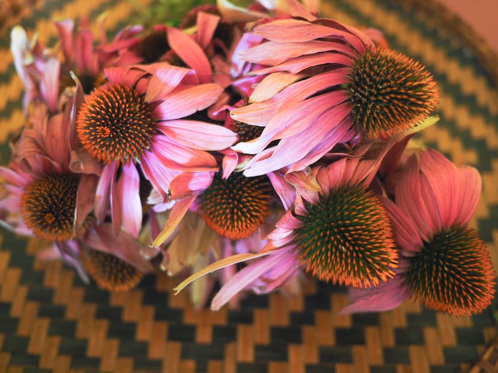 a group of colorful flowers