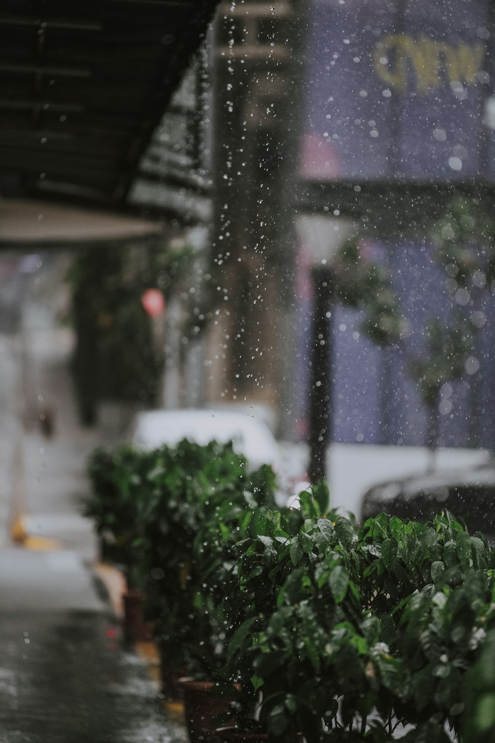 a window with rain drops on it