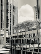 Green urban development with modern buildings and trees symbolizing environmental care