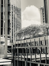 Tall modern buildings with reflective glass windows create a geometric cityscape. Trees are integrated into the upper levels, contributing greenery to the urban environment.