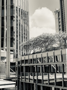 Tall modern buildings with reflective glass windows create a geometric cityscape. Trees are integrated into the upper levels, contributing greenery to the urban environment.