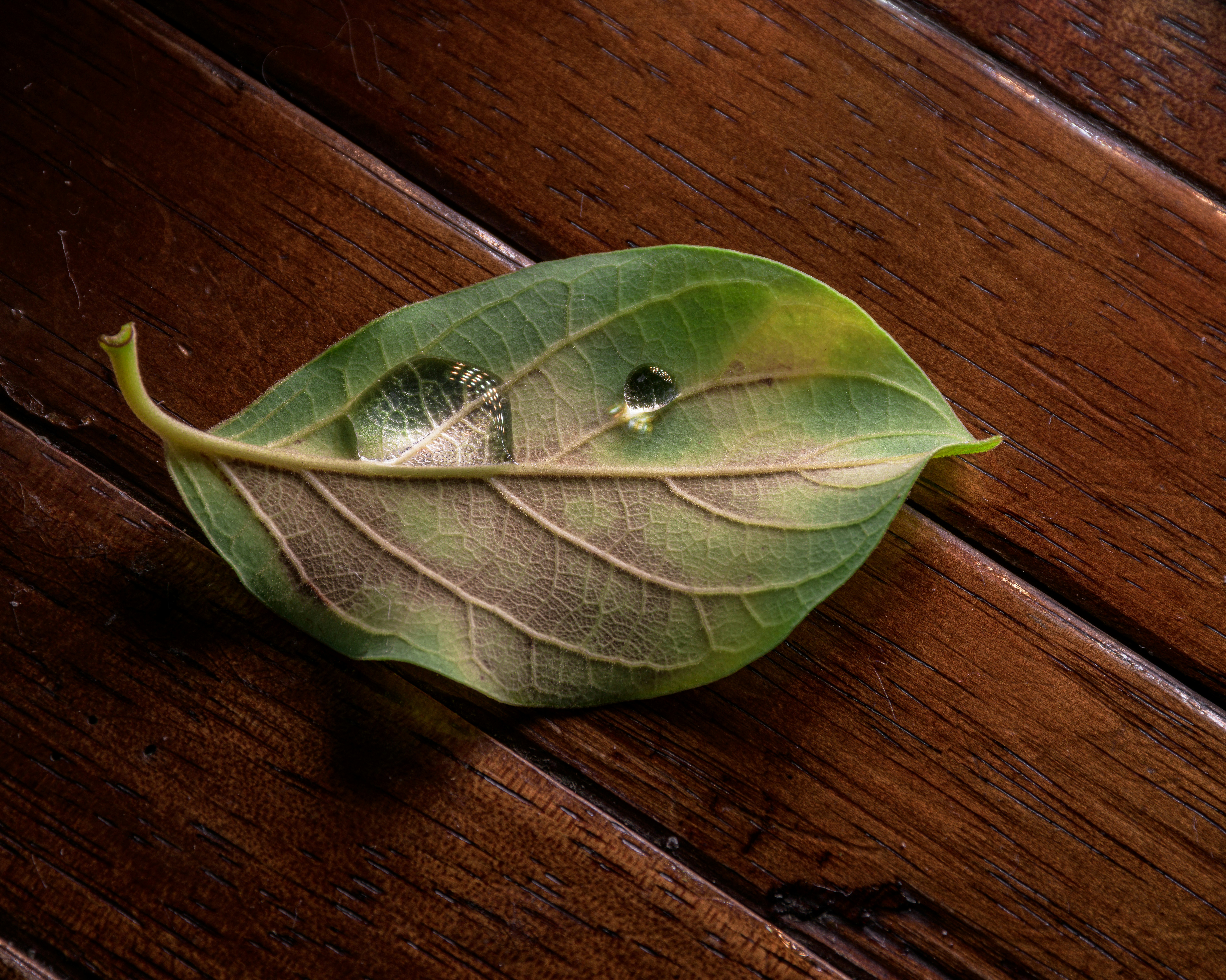 Photo by glennvillas