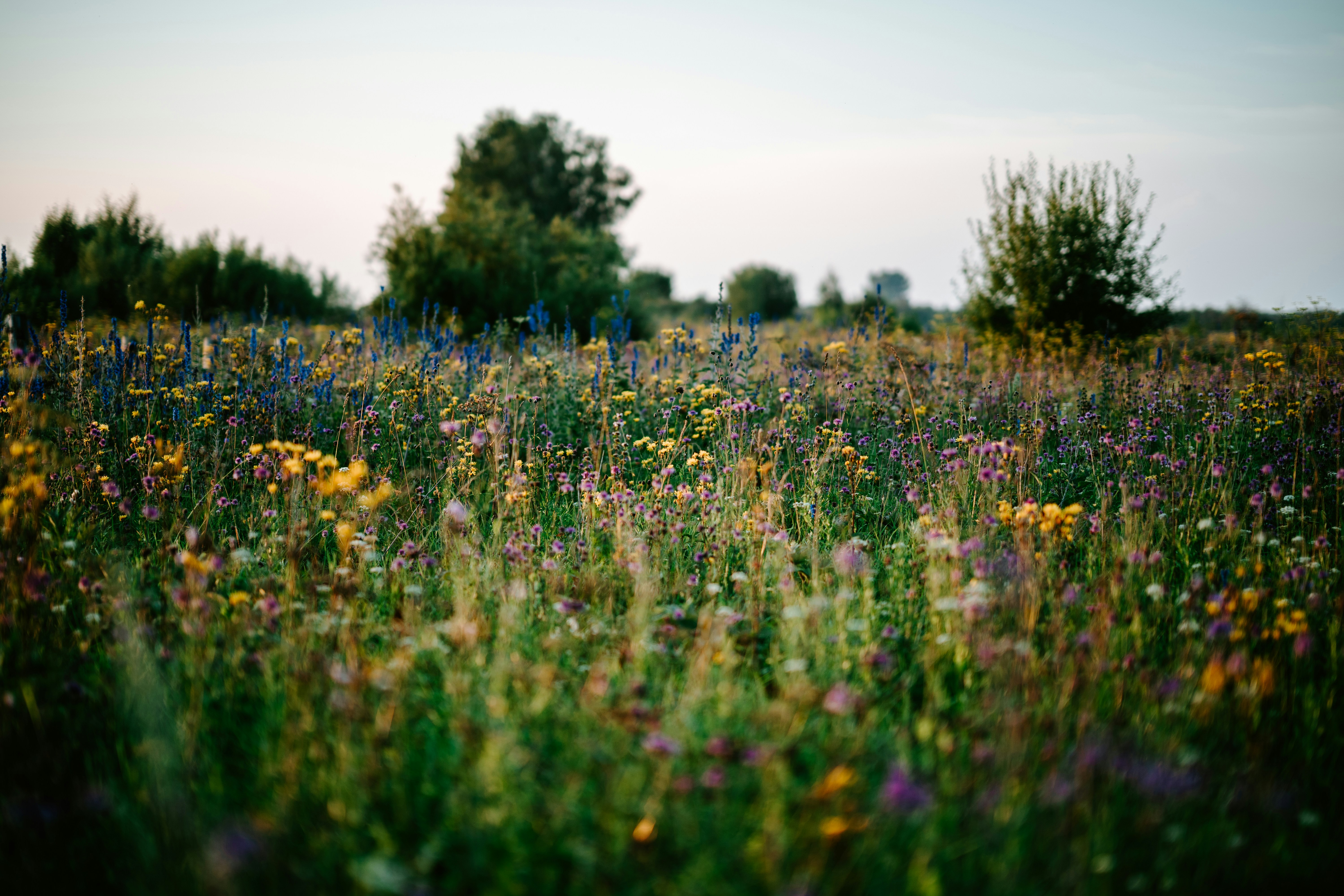 Photo by anamnesis33